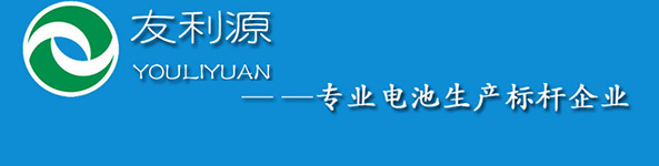 深圳市友利源电池科技有限公司与新奇网络合作成功，新网站上线！-龙岗网站建设